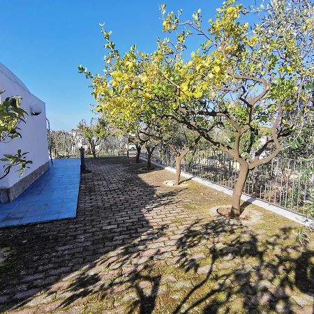 Tenuta Solleone ペスキチ エクステリア 写真