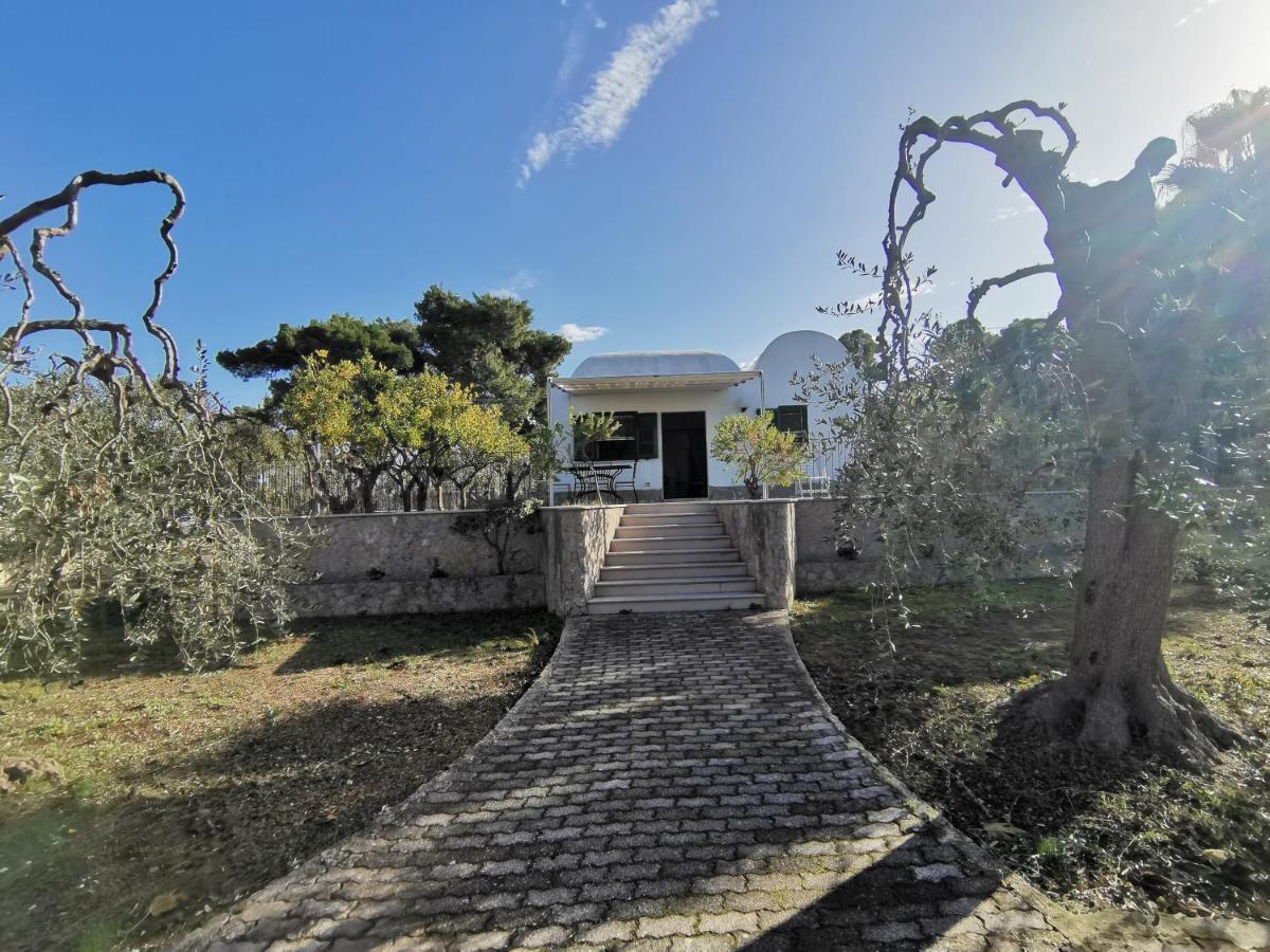 Tenuta Solleone ペスキチ エクステリア 写真