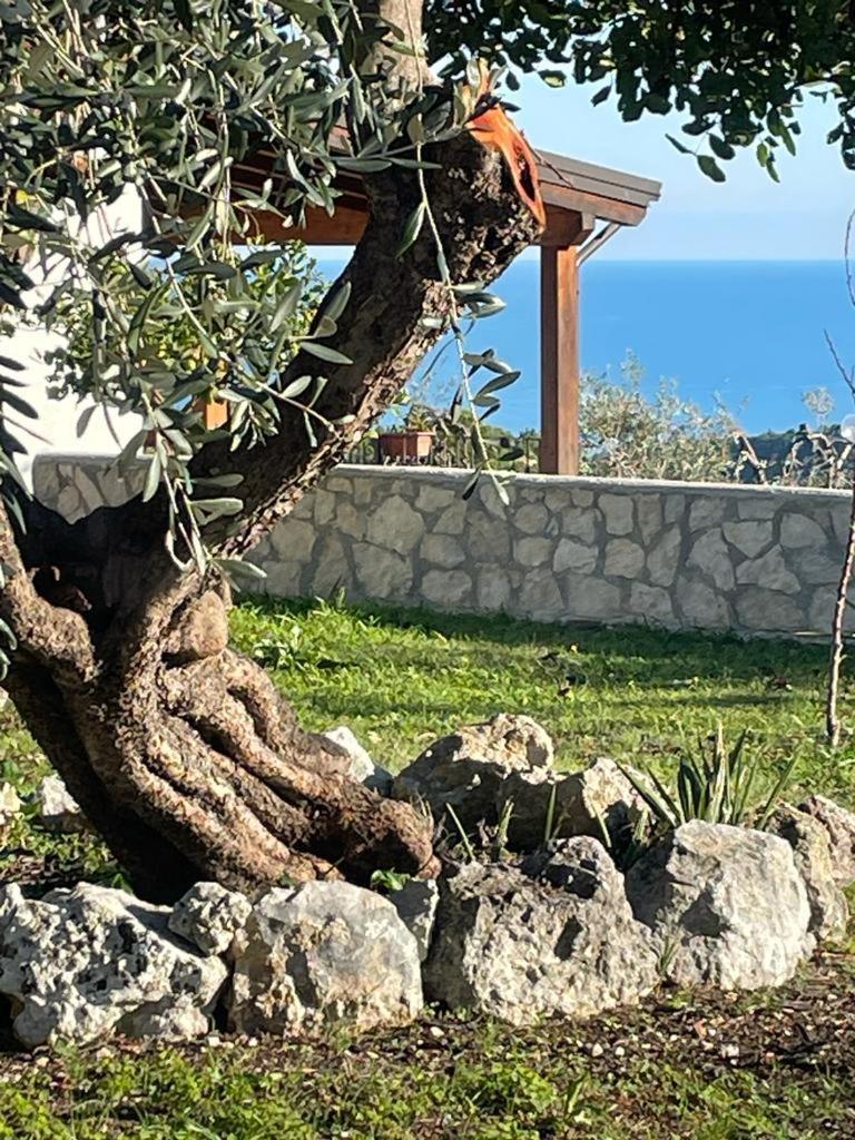 Tenuta Solleone ペスキチ エクステリア 写真